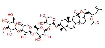 Synallactoside A1